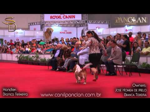 XPERT DOS SETE MOINHOS   #2 BIS   Luis Pinto Teixeira   CBKC   Novembro 2014