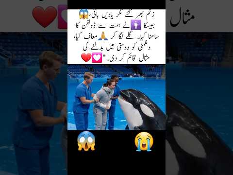 Jessica met with Orca after recovered #trending #viral #foryou #dolphin #shortsfeed