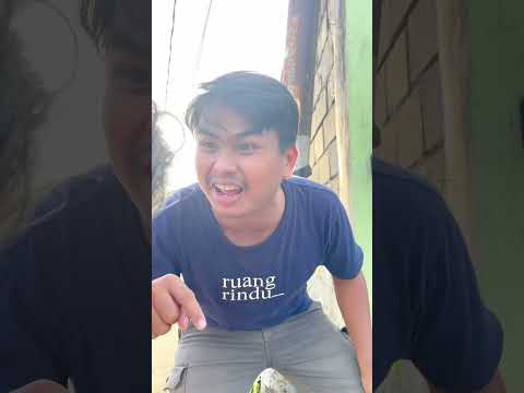 pak-amir-mukulin-dayat