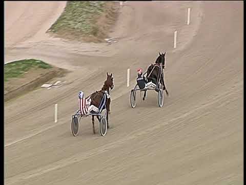 Trotto 22/12/2019 - prova di qualifica