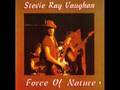 Stevie Ray Vaughan Manic Depression