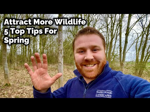 動物に優しい庭の池のための 5 つのヒント トピックス