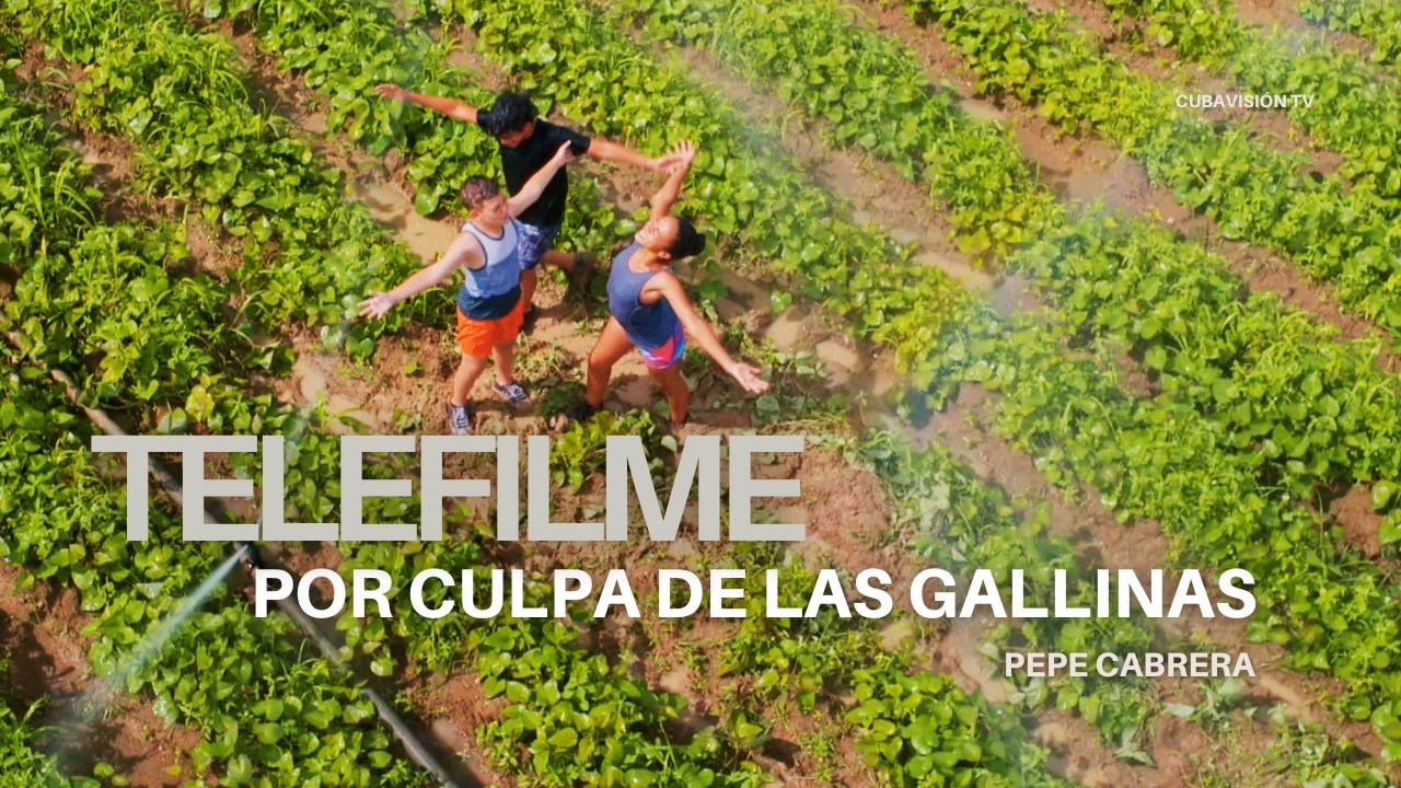 TELEFILME: Por culpa de las gallinas