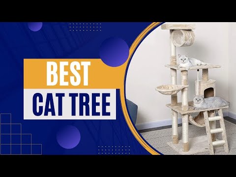 The 10 Best Cat Trees Of 2022 | Reviews & Top Picks
