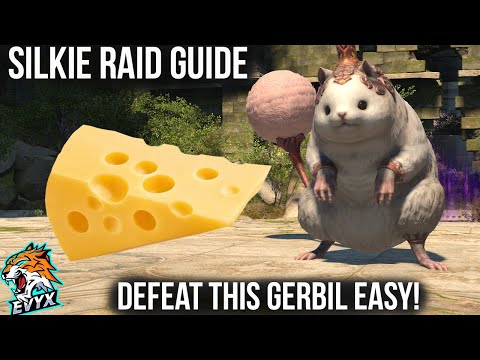 Silkie Raid Guide - Criterion Boss #1 [FFXIV 6.25]