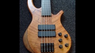 Video thumbnail for Overwater fretless bass guitar sound sample by BassBus Music