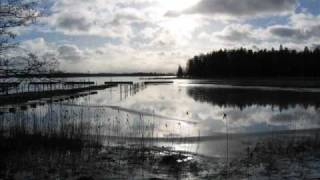 Sub Urban Tribe: First Spring Day