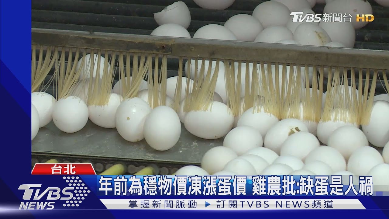 北部雞蛋仍缺!業者:限購10顆 民眾:破蛋也買