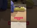 Nexplanon birth control implant insertion
