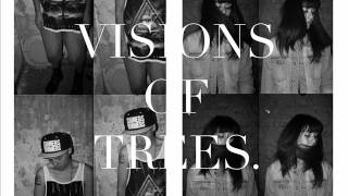 Visions of Trees - Glass Rain