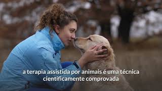 Terapia com ces  cientificamente comprovada?