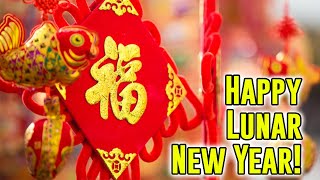 EVERYTHING You Need to Know About CHINESE NEW YEAR!