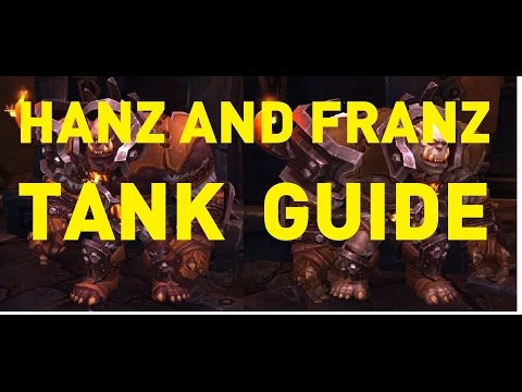 Hans'gar and Franzok Tank Guide
