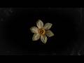 FREE Old School Boom Bap Type Beat Lament Underground Hip Hop Rap Instrumental Doz Beats