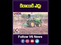 కిరాయికి ఎడ్లు | Rental Farming Bulls | V6 News - Video