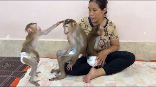 Download lagu Sister Jula Feel Very Jealous Brother Sovan Being Sweet With Mom Till Come & Try To Pull Him Away , mp3