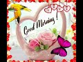Good Morning Whatsapp Status Short Sweet Video