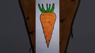 tap root example in carrot
