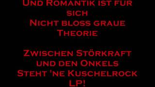 Die Ärzte - Schrei Nach Liebe (with Lyrics)