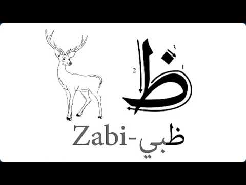 ظ HOW TO PRONOUNCE ARABIC LETTERS