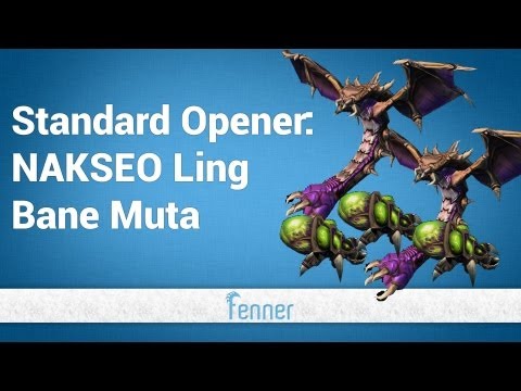 HotS: NAKSEO' Zerg vs Terran Build Order - Muta Ling Baneling
