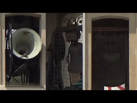 Le campane di Sestri Levante (GE) Basilica di Santa Maria di Nazareth - 2100° VIDEO