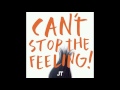 Justin Timberlake - Can't Stop The Feeling (audio)