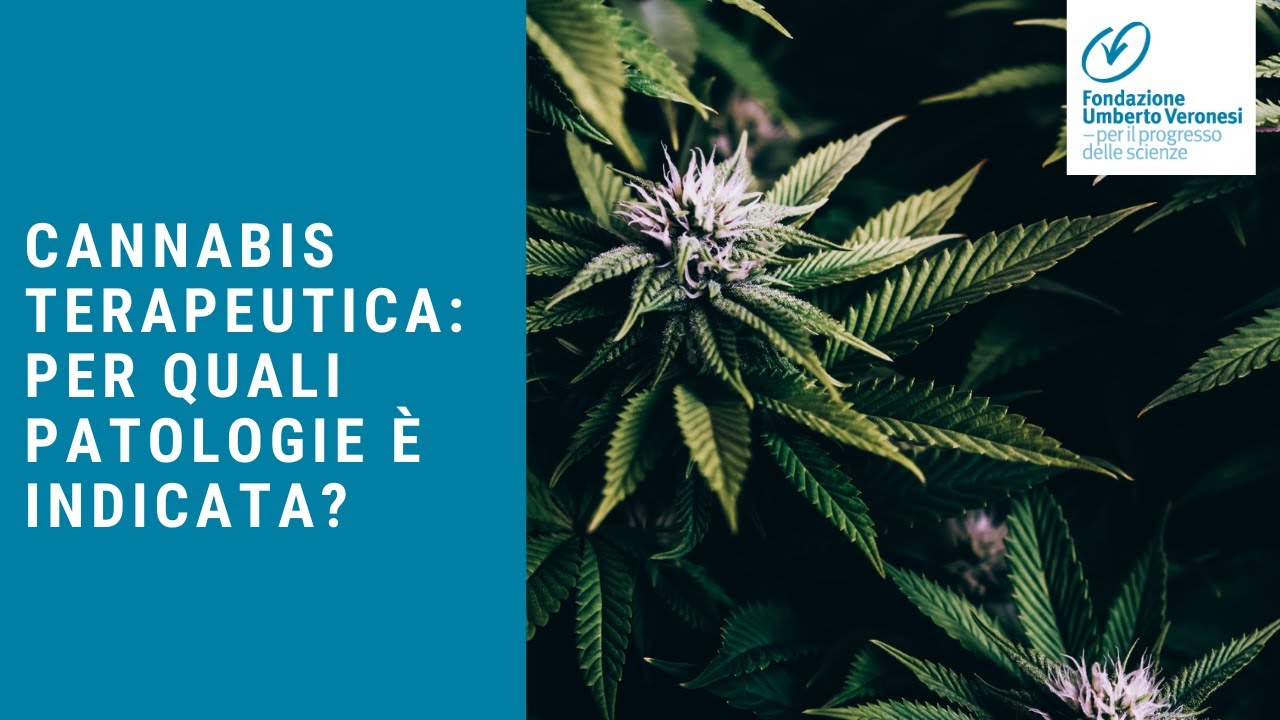 Cannabis Terapeutica: per quali patologie è indicata quando si può usare