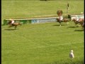 Ponyrennen Krefeld 24 05 2009