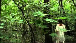 Current 93 - baalstorm-baalstorm (2010)