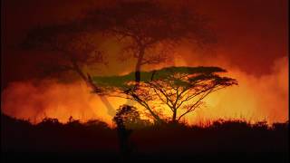 Waldemar Bastos - Perto e longe