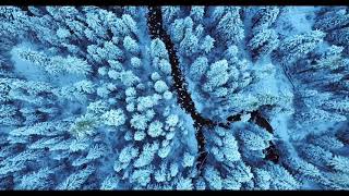 Spy - Cold harsh air ( Feat: Total science)
