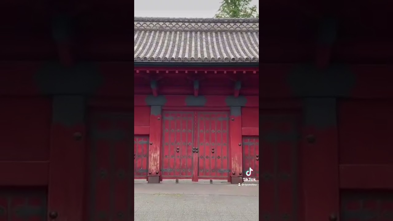 赤門前ので中卒がなんか言ってます。(2021 5/21 Tiktok投稿)