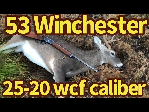 Hunting with the Winchester 53  25-20 wcf