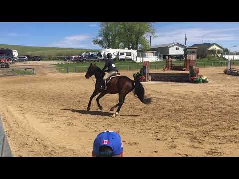 Hudson (Ikoon x Calvados)