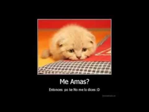 aunque truene y llueva jesus manue,flow