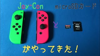 【開封動画】ジョイコンとmicroSDカードがやってきた！