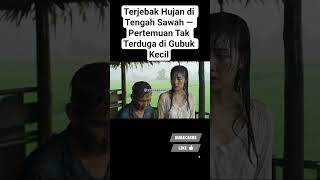 Download lagu Terjebak Hujan di Tengah Sawah — Pertemuan Tak Terduga di Gubuk Kecil #fypシ #viralshort #aivideo mp3