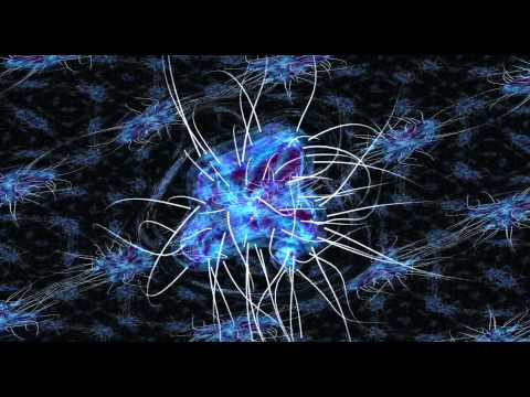 Fever Express - George Acosta