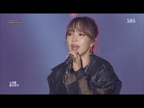 141012 신라의 달밤_T-ARA 소연, 4Minute 지윤, Secret 지은, KARA 영지 @ 2014 Hallyu Dream Concert