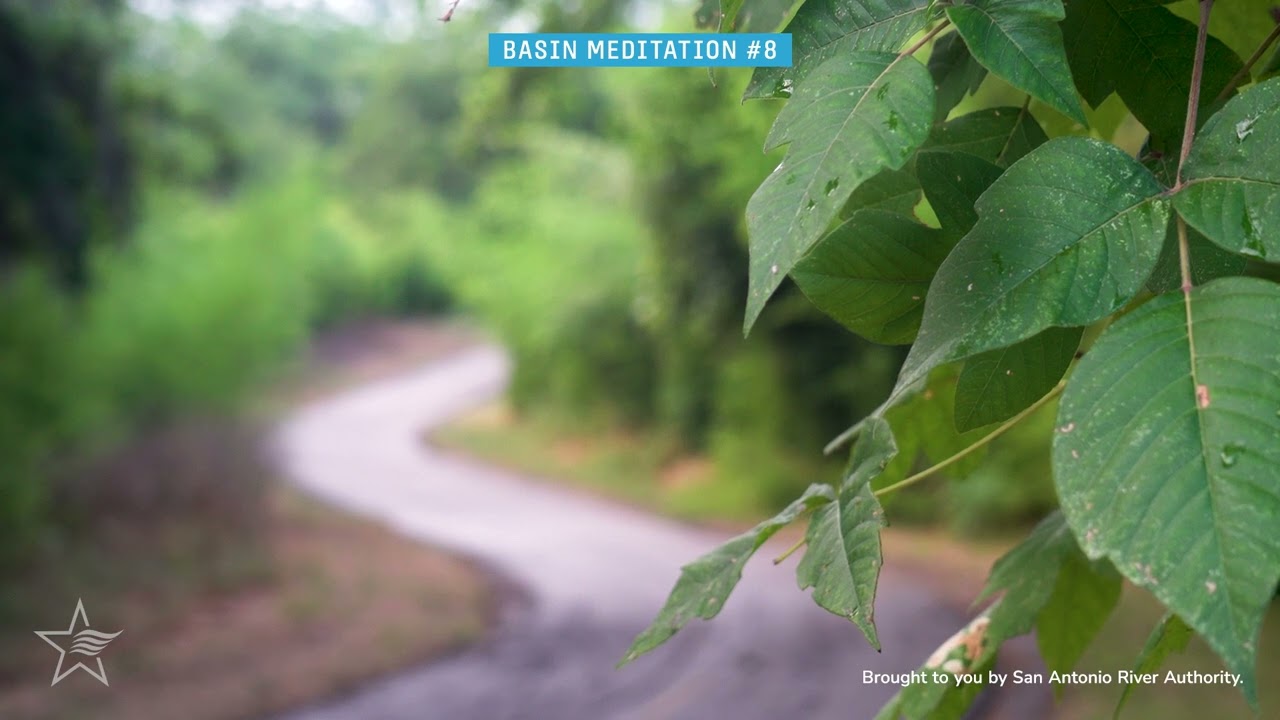 Relaxing Nature Sounds and Trail View at J Street Park - Basin Meditation