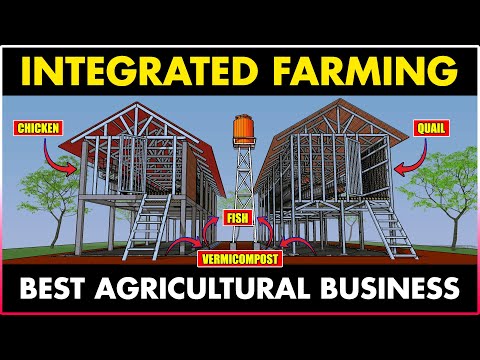 Integrated Fish, Chicken, Quail, and Vermicompost Farm | Best AGRICULTURE Business