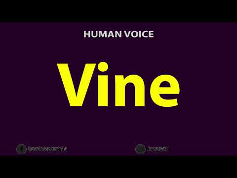 How To Pronounce Vine