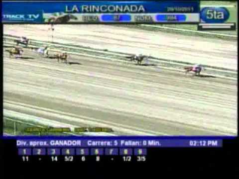 Resumen Sabado, 29 de Octubre de 2011 - La Rinconada