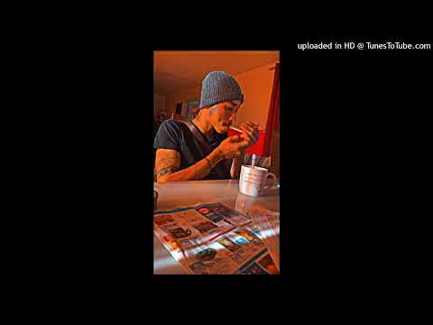 Snivy-dans mon-ker officiel