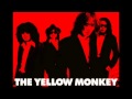the yellow monkey - tactics (live) 