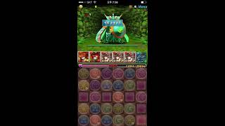 [전설의 숲 챌린지모드] 켄신 pt