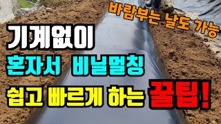 10분도 안걸리는 혼자 쉽게 비닐멀칭하는 방법/ 바람불어도 끄떡없어요.