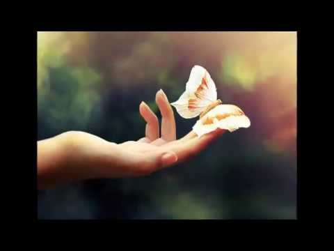 Intr-o zi ! - Adrian Daminescu -