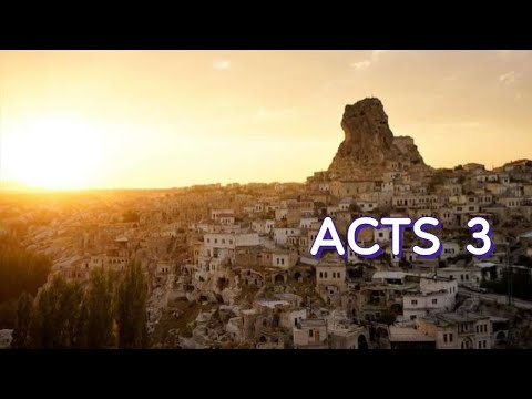 ACTS 3 NIV AUDIO BIBLE